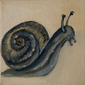 "Caracol", 10x10 cm Original