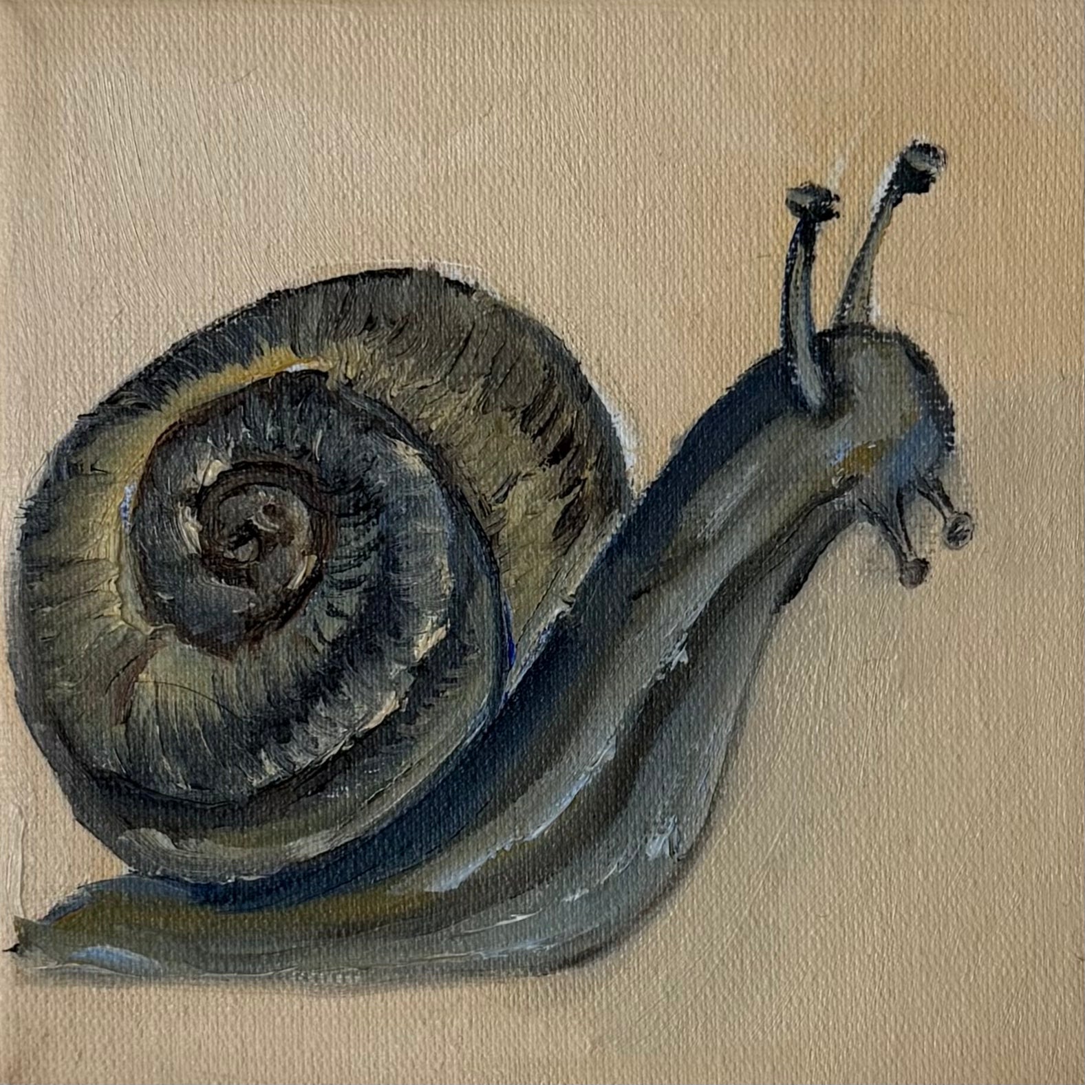 "Caracol", 10x10 cm Original