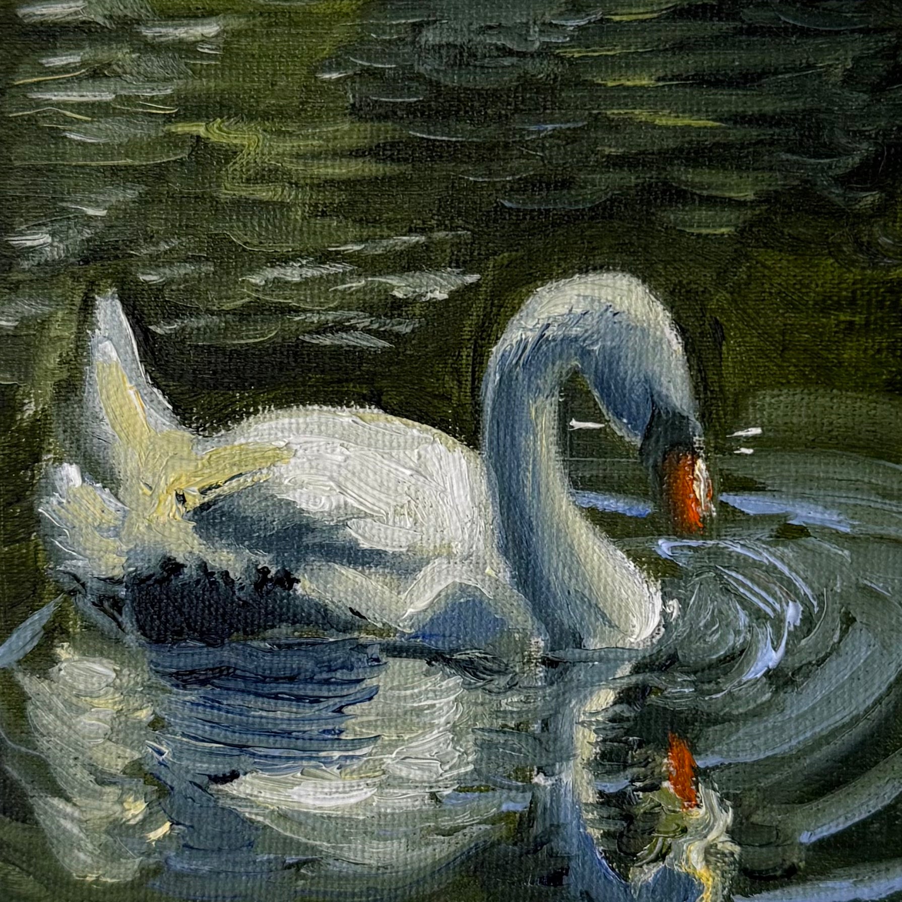 "Cisne I", 10x10 cm Original