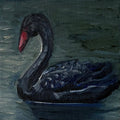"Cisne V", 10x10 cm Original