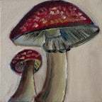 "Cogumelos", 10x10 cm Original