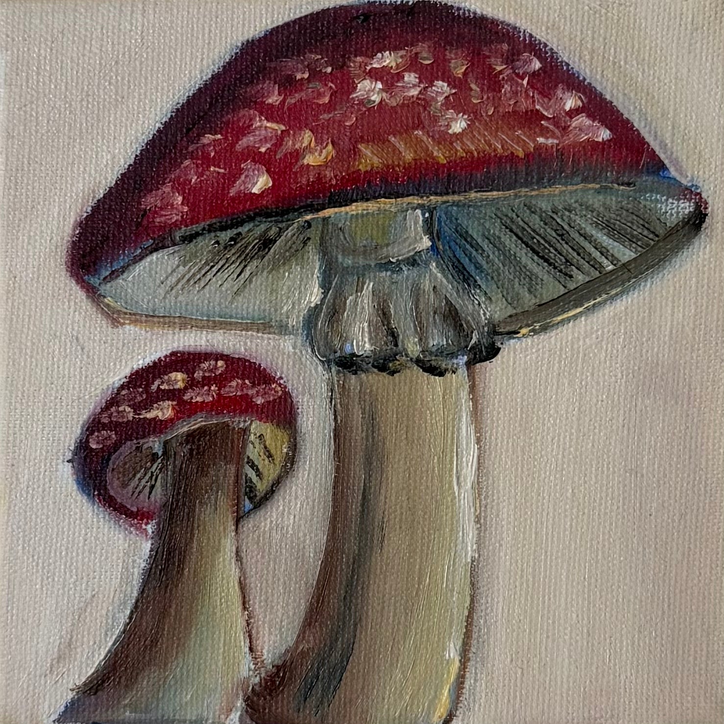 "Cogumelos", 10x10 cm Original