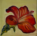 "Flor de Hibisco", 10x10 cm Original