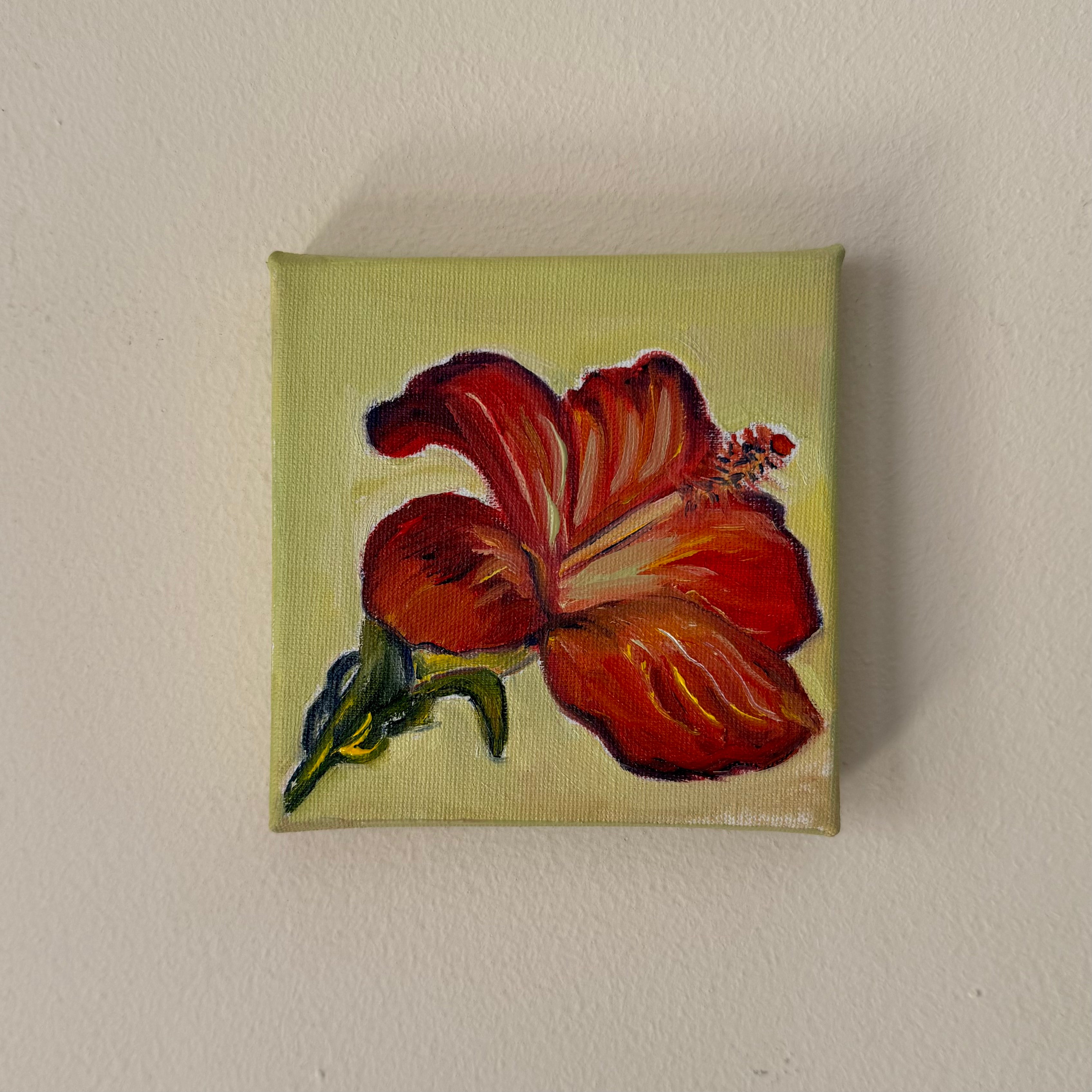 "Flor de Hibisco", 10x10 cm Original