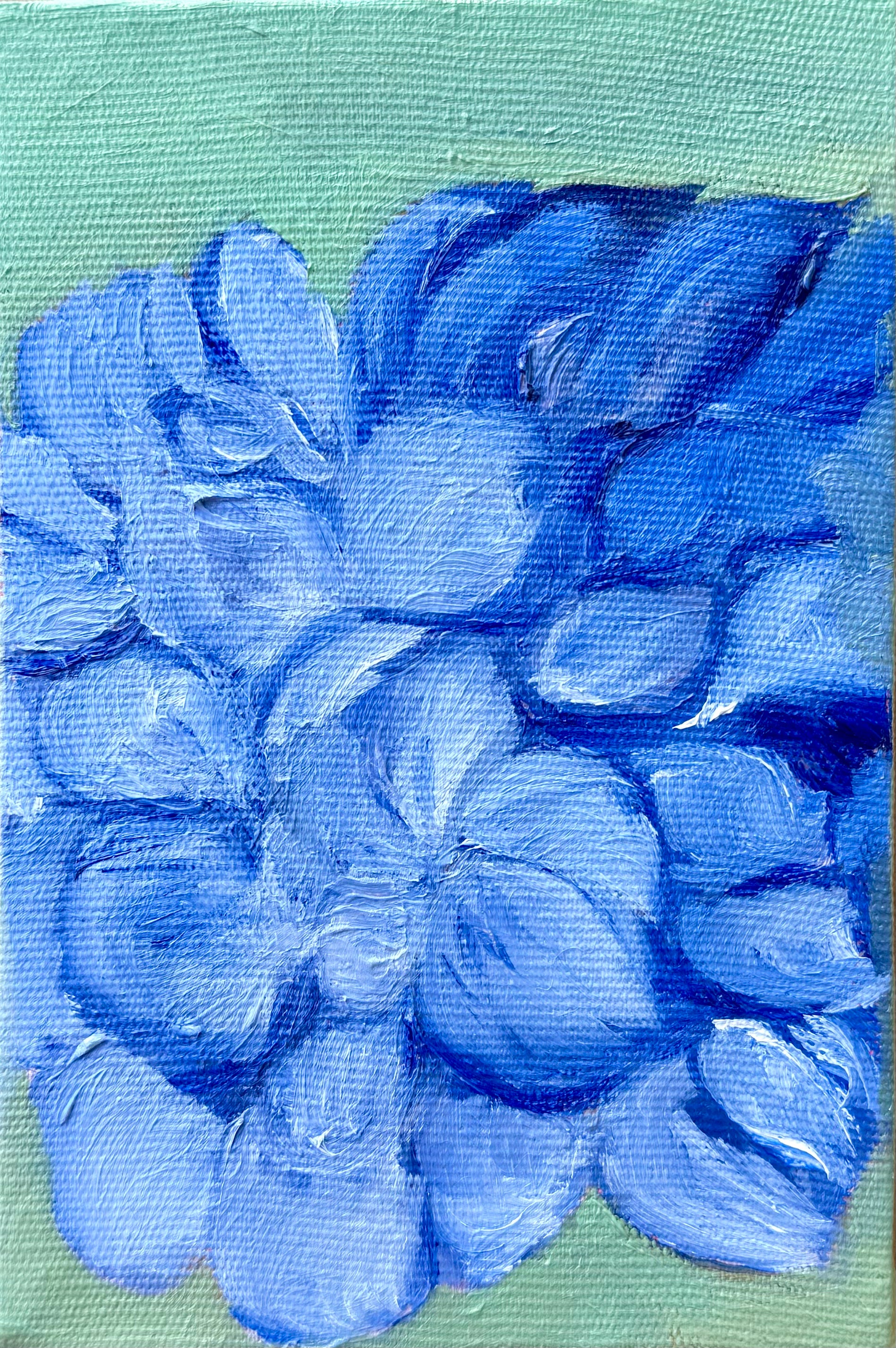 Hortênsias, 10x15 cm Original