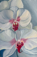 Orquídeas, 20x30 Original