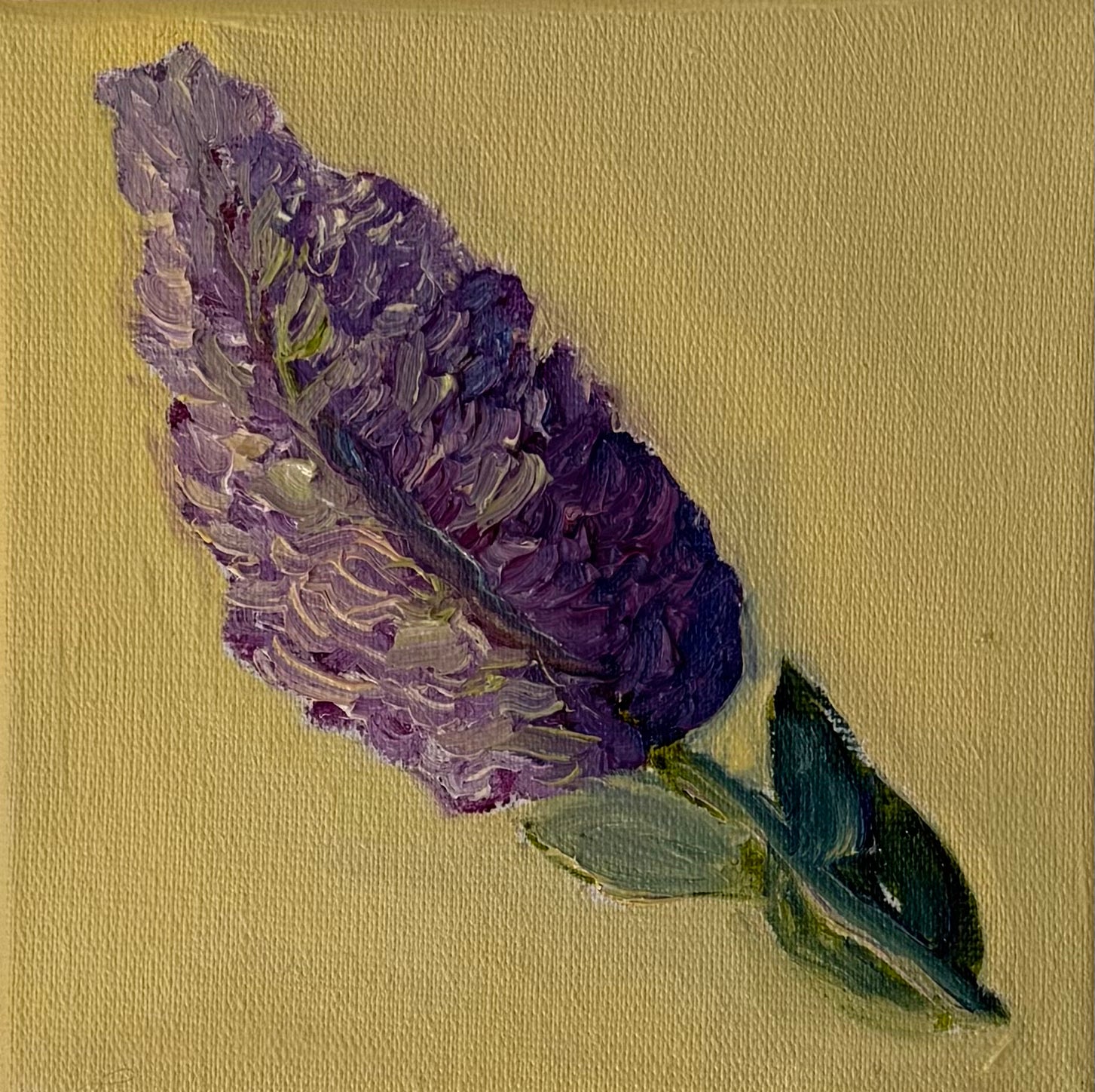 "Lavanda", 10x10 cm Original