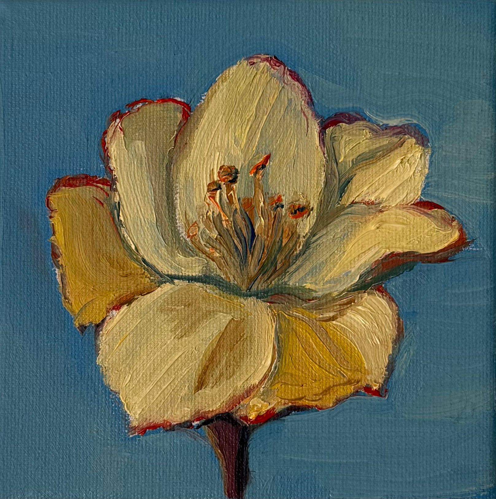 "Lírio", 10x10 cm Original