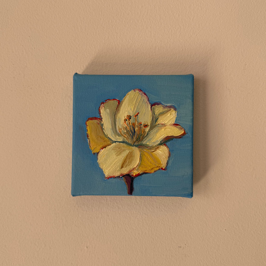 "Lírio", 10x10 cm Original