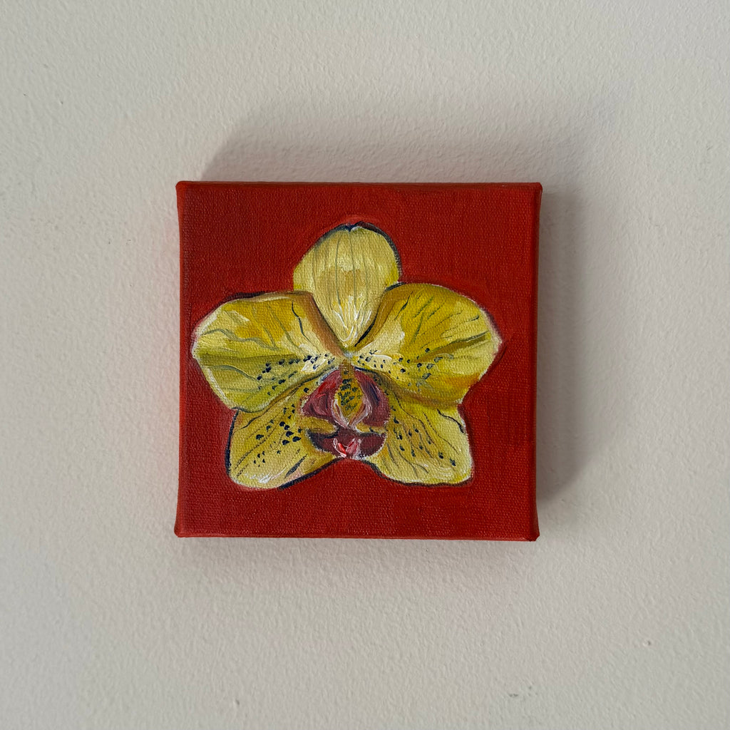 "Orquídea amarela", 10x10 cm Original