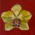 "Orquídea amarela", 10x10 cm Original
