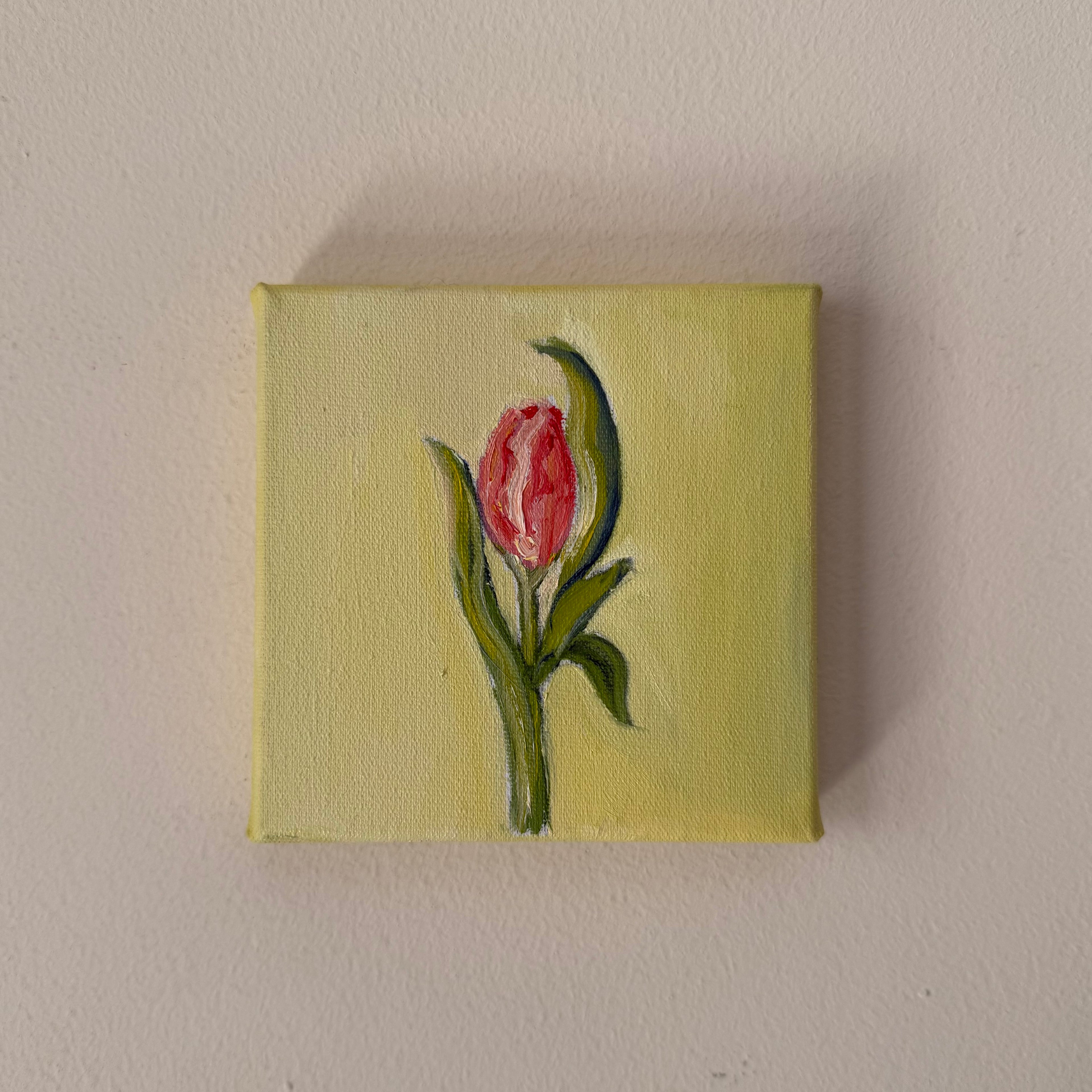 "Tulipa", 10x10 cm Original