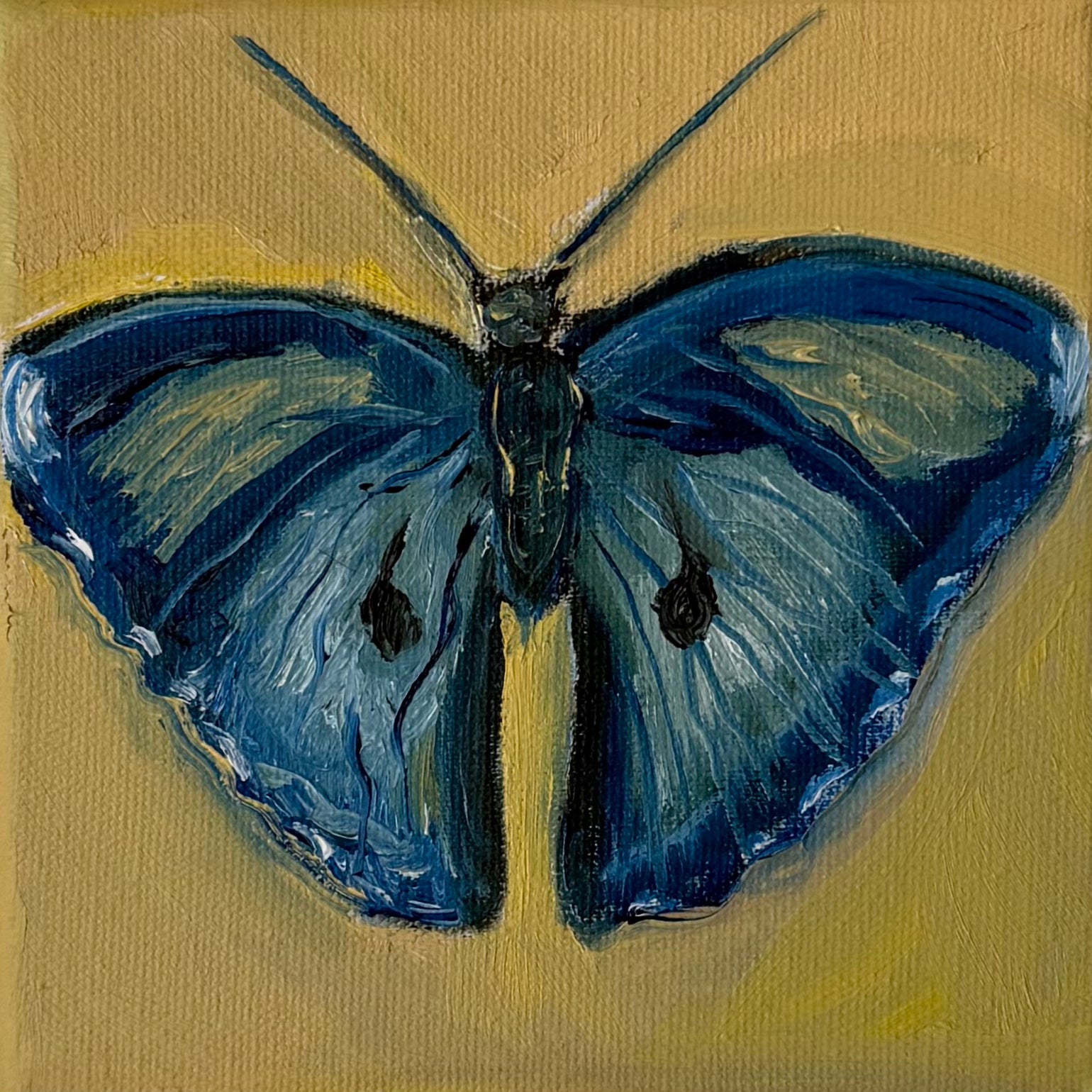 "Borboleta azul", 10x10 cm Original