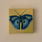 "Borboleta azul", 10x10 cm Original