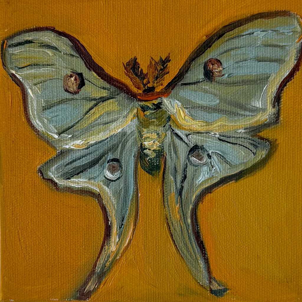"Mariposa luna", 10x10 cm Original