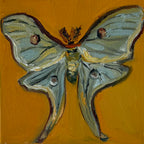 "Mariposa luna", 10x10 cm Original