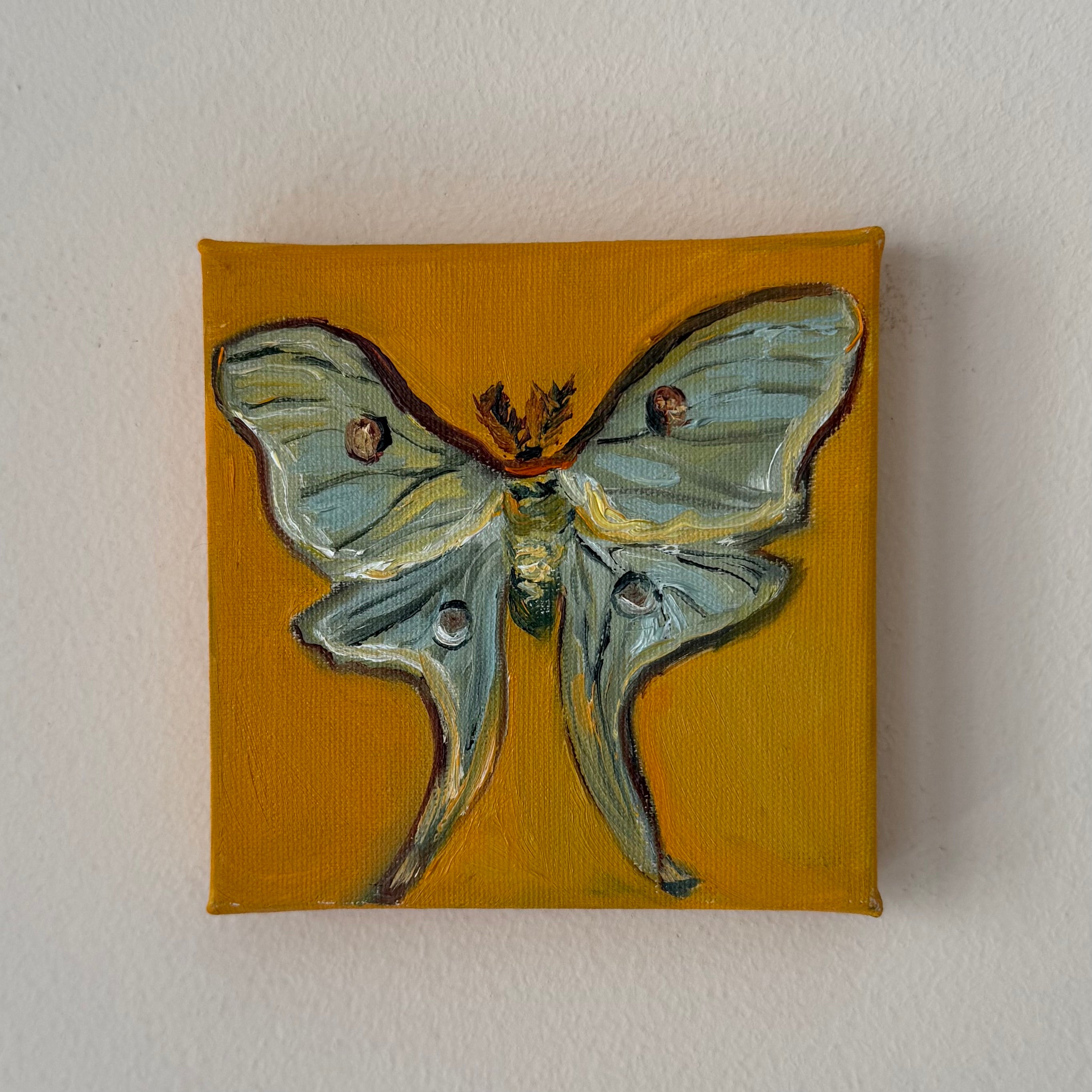 "Mariposa luna", 10x10 cm Original