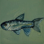 "Peixe", 10x10 cm Original