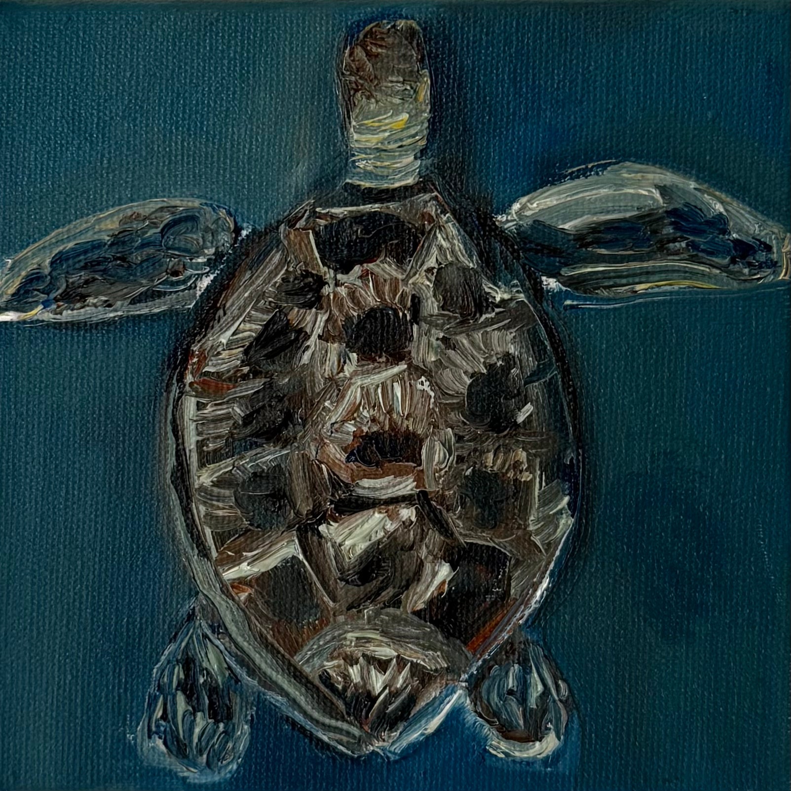 "Tartaruga", 10x10 cm Original